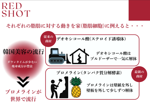 RED SHOT（レッドショット）10ml×5本（業務用）